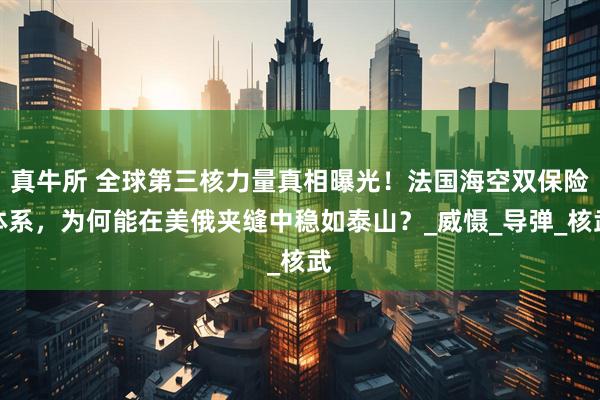 真牛所 全球第三核力量真相曝光！法国海空双保险体系，为何能在美俄夹缝中稳如泰山？_威慑_导弹_核武