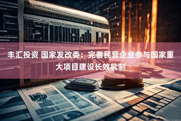 丰汇投资 国家发改委：完善民营企业参与国家重大项目建设长效机制